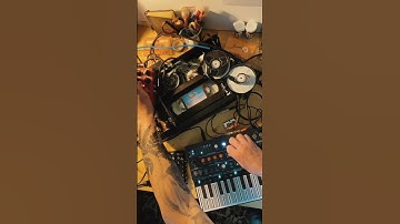 Videotape Jam by @stegonaute #shorts #synth