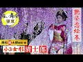 羅い舞座 大衆演劇 女形 舞踊ショー【艶姿恋絵巻】澤村慎太郎劇団~清士郎