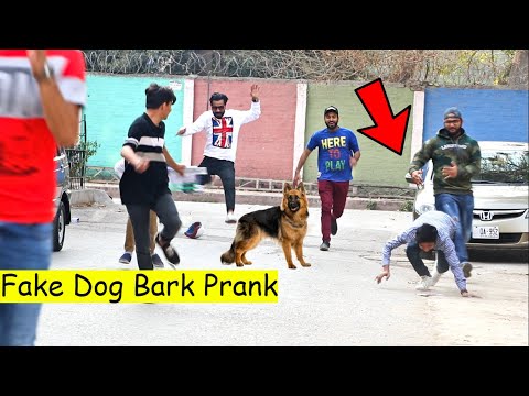 Fake Dog Bark Prank Compilation Pranks In Pakistan LahoriFied
