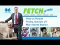 FETCH a Cure&#39;s Pets on Parade is Friday, Oct. 27 at Main Street Station
