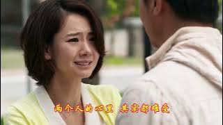 李英《只想有个爱我的人》旋律优美 歌声凄美伤感扎心催泪 真好听