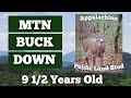 The seven year hunt for a north ga mountain buck