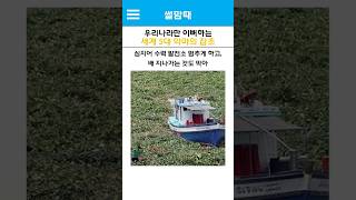 우리나라만 이뻐하는 세계5대 악마의 잡초