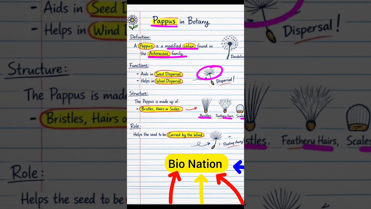Что такое папус? | семейство астровых | Преподаватель биологии UKPSC 2025-2026 | Преподаватель (б...