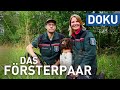 Zwischen Traumjob und Katastrophenwirtschaft - Das Försterpaar | doku | erlebnis hessen