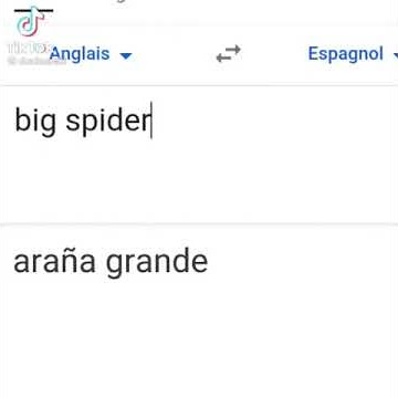 Big spider - Ariana Grande 😂