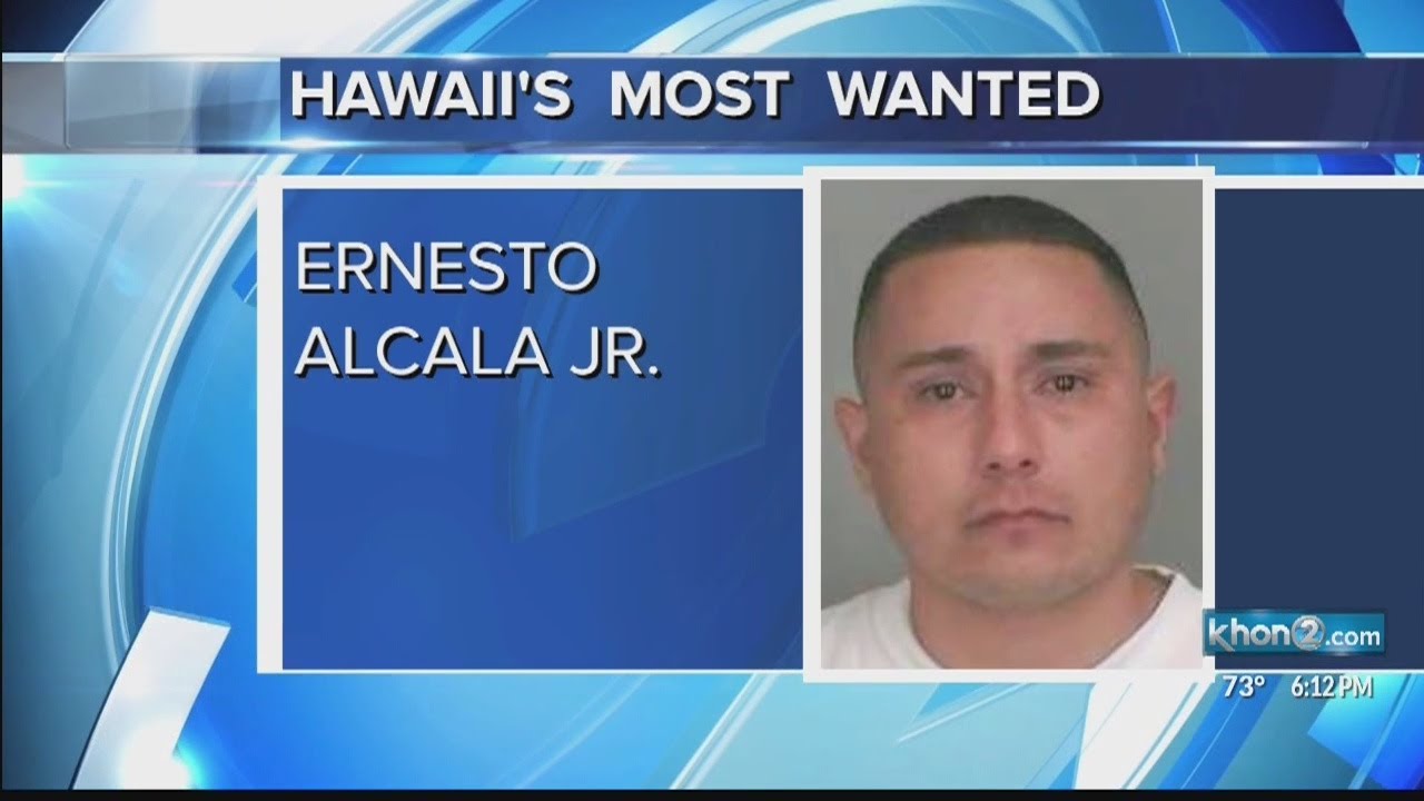 Hawaii's Most Wanted YouTube