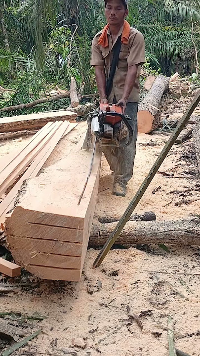 Download lagu 5 sekali jatuh guys biar lebih cepat #woodworking #chainsaw