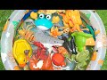 Learn English with Ocean Animals | Kids Ocean World Names Fun facts for toddlers
