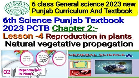 6 class science Chapter 2| Reproduction in plants| Natural vegetative propagation|2023 PCTB SNC