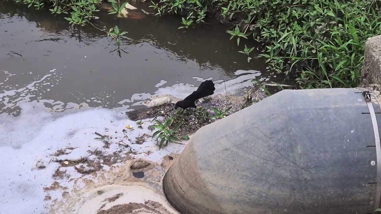 Water pollution solution starts with 'You'