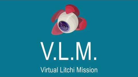 VLM Virtual Litchi Mission