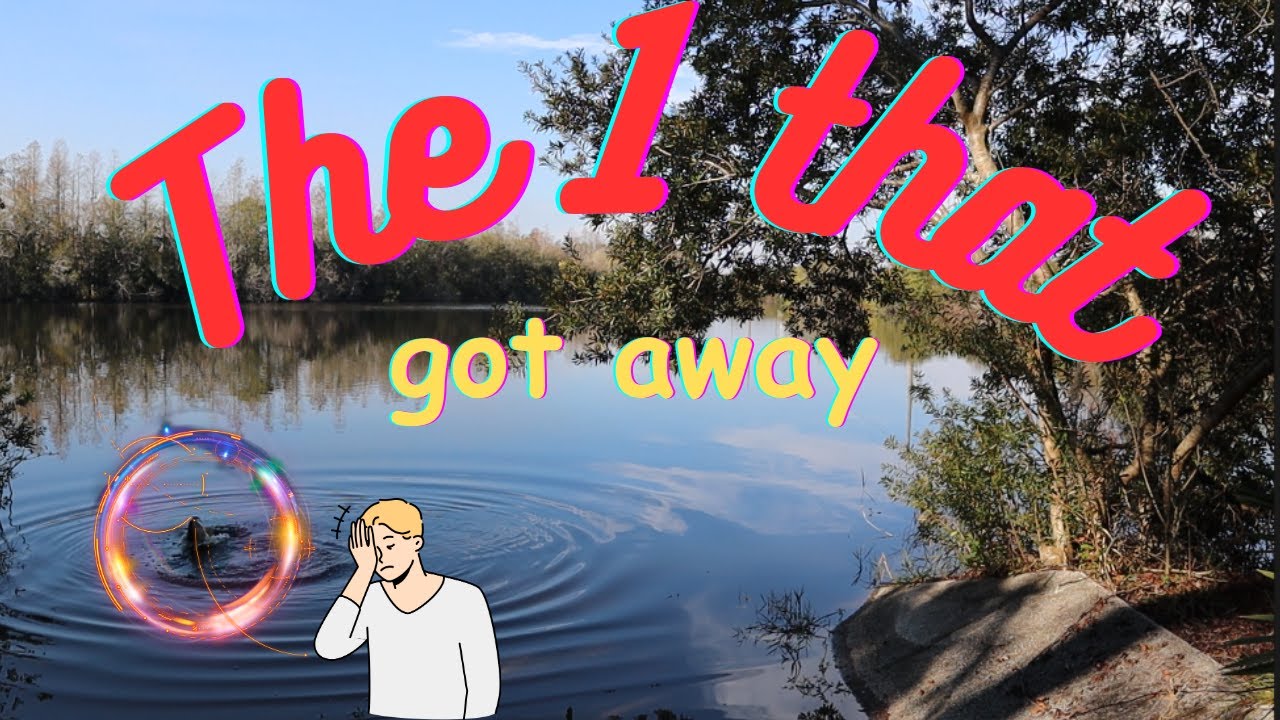 Ultimate Solo Bass Fishing Adventure: Chasing the One That Got Away and Epic Moments!