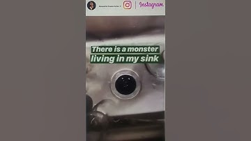 AOC Discovers a Garbage Disposal -5.9.19