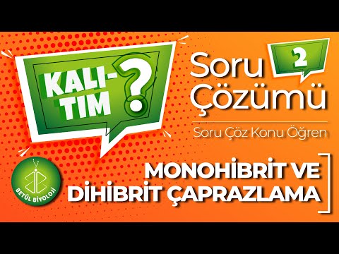 Kalıtım Soru Çözümü #2 | Monohibrit ve Dihibrit Çaprazlama | Soru Çöz Konu Öğren | TYT Biyoloji