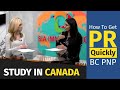 Study in Canada - How to Get PR Quickly - BC PNP