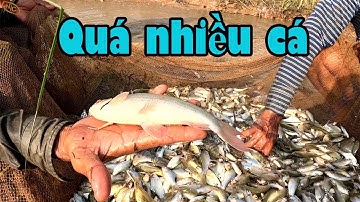 Hồ Dầu Tiếng mùa nước rút tập 1