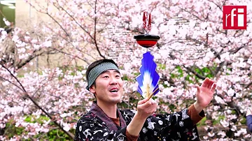 O que significa o hanami?