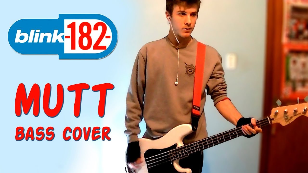 MUTT by blink-182 - BASS COVER - YouTube