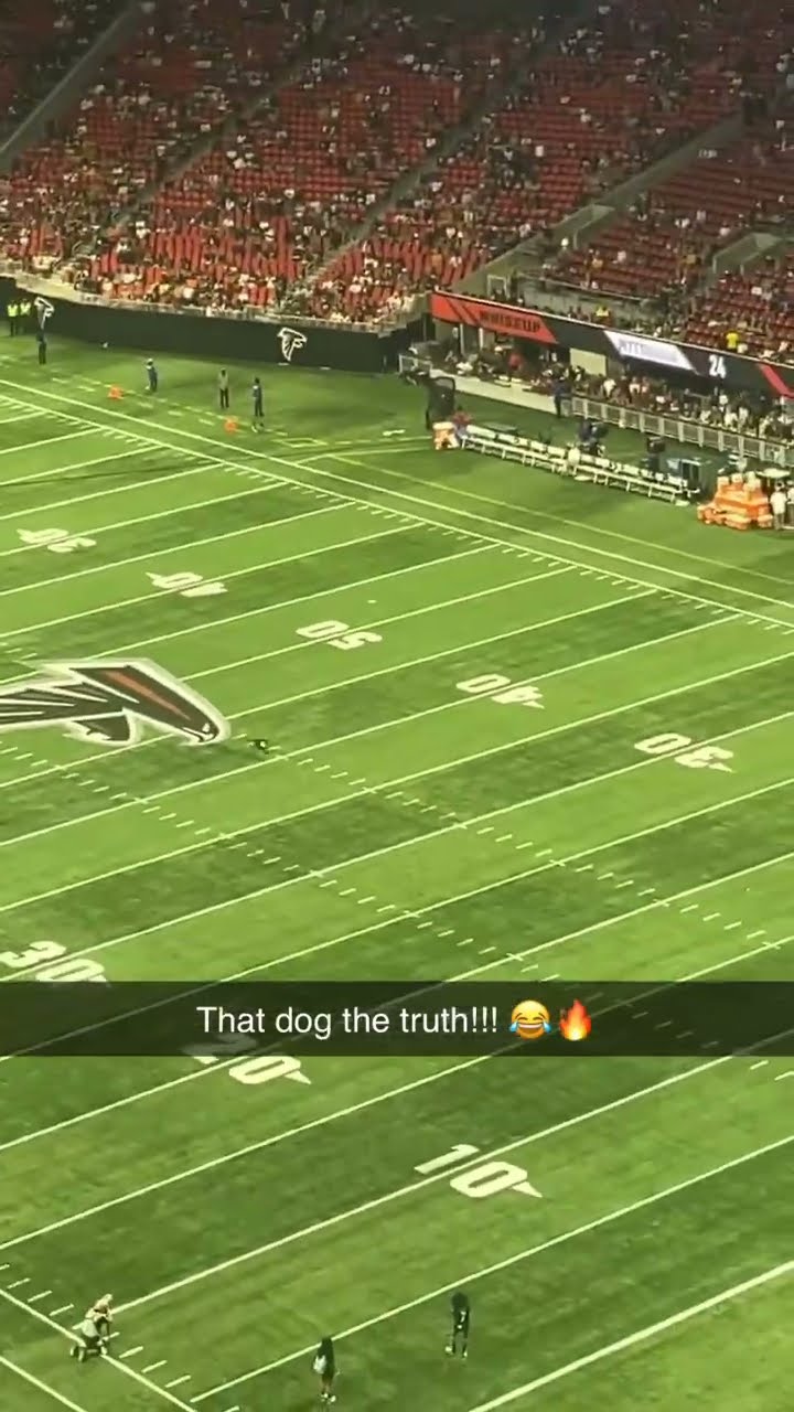 Half time Show At the Falcons Game ?