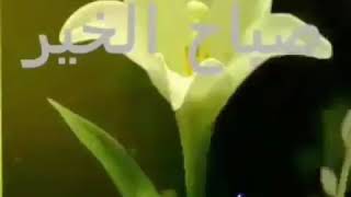 صباح الخير اللهم انى نسلك من الخير كله