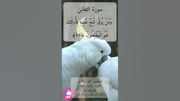 فاتقوا الله ما استطعتم واسمعوا وأطيعوا وأنفقوا خيرا لأنفسكم | سورة التغابن #دعاء_ورسالة
