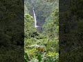 Hidden Waterfall in Costa Rica🇨🇷 San Fernando Waterfall 💦#CostaRica #Waterfall #PuraVida#Artu