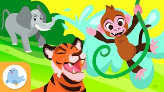 🔴 AO VIVO 🦓🐯 Os ANIMAIS para crianças 🐬🐘 Vídeo educativo para crianças