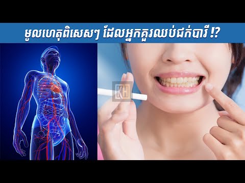 មូលហេតុពិសេសៗ ដែលអ្នកគួរឈប់ជក់បារី | Special Reasons Why You Should Quit Smoking