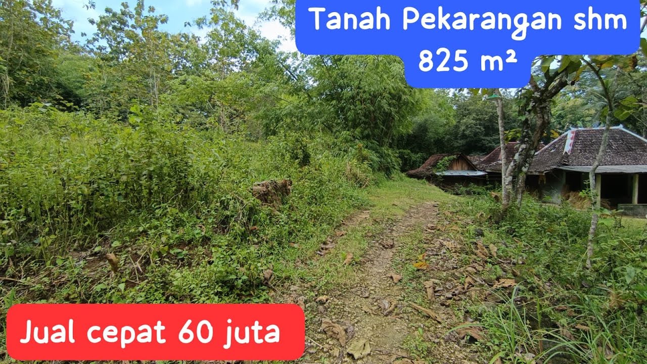 🔴TANAH PEKARANGAN SHM 825M² JUAL CEPAT MURAHH!! #jualtanah #tanahmurahgunungkidul 