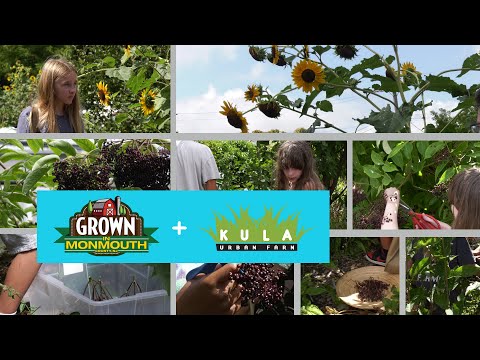 Grown In Monmouth Camp - Kula Urban Farm