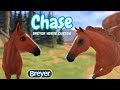CHASE - BREYER HORSE CUSTOMS (Cigar & Emerson Breyer Traditional Molds)