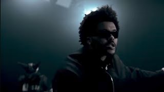 The Weeknd, Playboi Carti - Timeless (Official Lyric Video)
