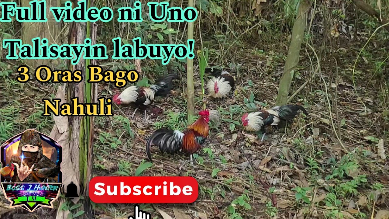 Talisayin na labuyo/Sulit na paghihintay, Napakatagal na Paka bahan sa Taguan.