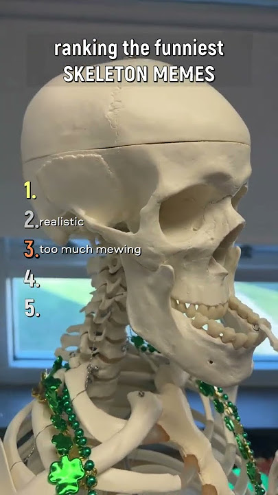 ranking the funniest skeleton memes #funny #skeleton #memes