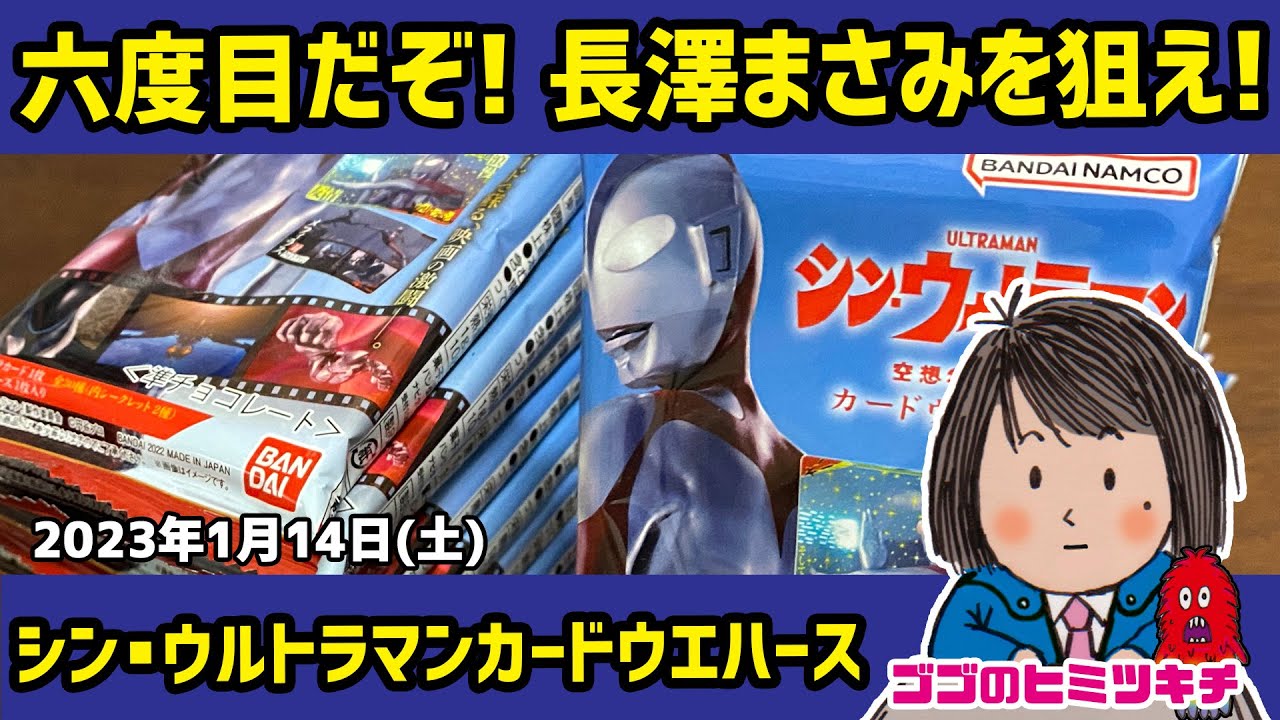 カルビーシン仮面ライダーチップス 48枚 + 1枚ラッキーガード、特典カード2枚