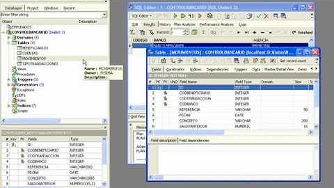 BASES DE DATOS CON FIREBIRD - VIDEO No. 11