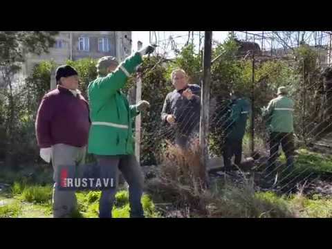 ბაღებს და საქათმეებს შლიან