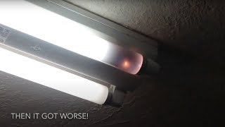 the death of a fluorescent lamp