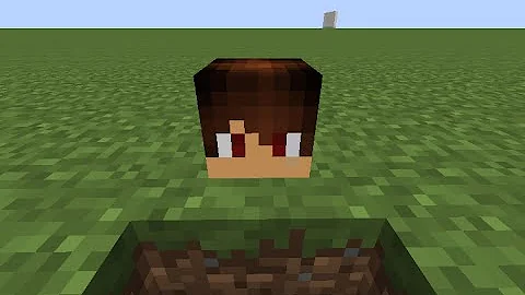 Como fazer a cabeça do Ender Dragon?