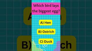 🌟 The Guessing Challenge #mindbendingquiz #amazingfacts #triviatricks #facts #quiztime #quiz