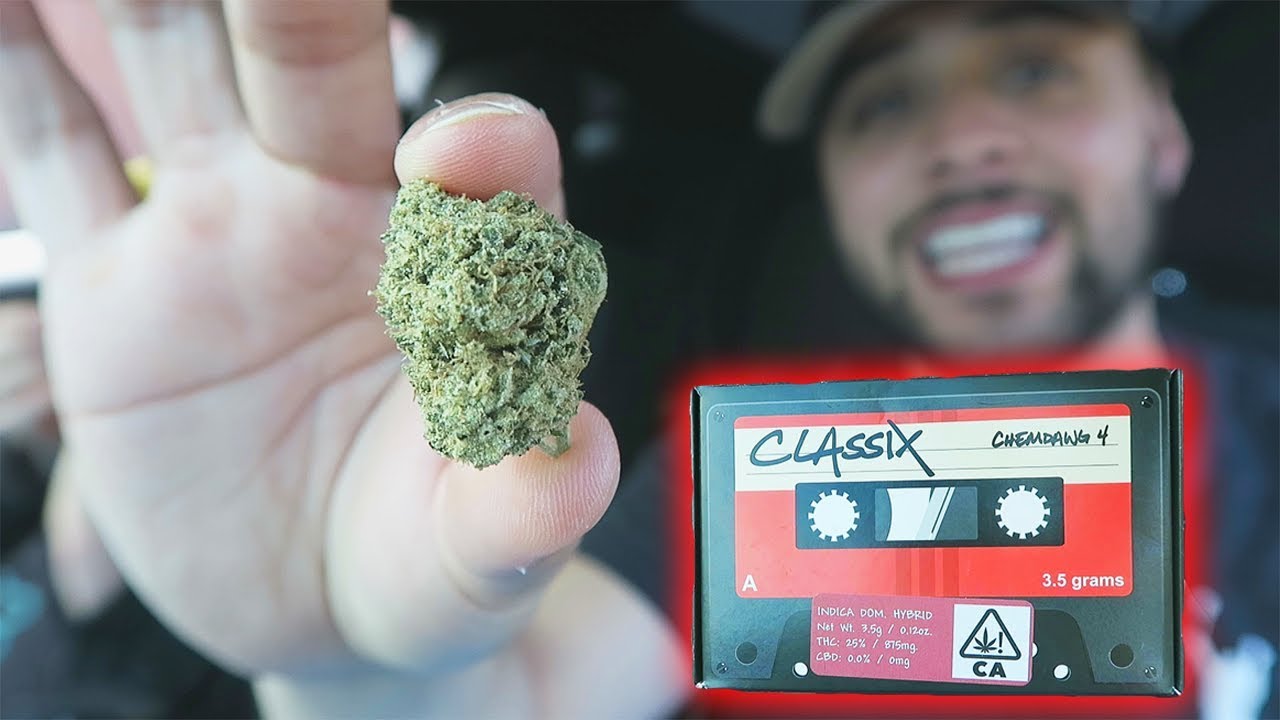 CHEMDAWG 4 STRAIN REVIEW