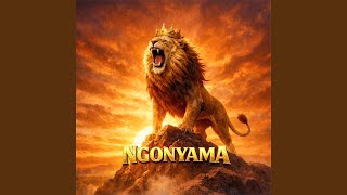 Ngonyama
