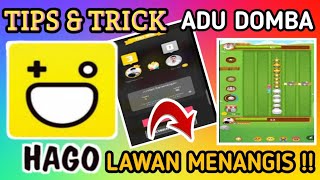 TIPS DAN TRICK CARA MAIN ADU DOMBA HAGO ‼️ LAWAN MENANGIS