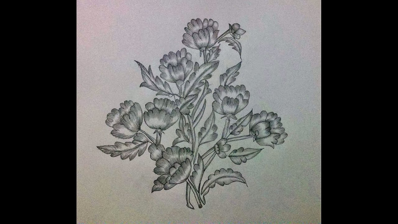 Featured image of post Creative Easy Flower Drawings In Pencil - That&#039;s the magic of colored pencil, and learning how to do it is easier than it seems.