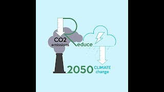 Celebrity Top 5 Leaders in Building Decarbonization Profile