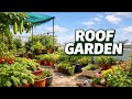 🌱 எங்கள் வீட்டின் மாடி தோட்டம் | Roof Garden Tour - 2| Organic Gardening