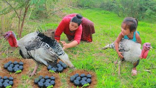 Mother and child - Catch Turkey Bird egg  in forest &amp; Cooking Turkey with hot chili For lunch