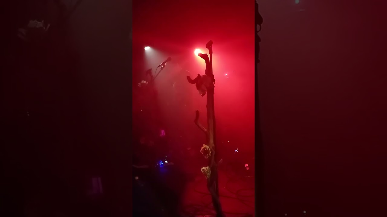 Black Birch - Live in Berlin (18. 10. 2025)