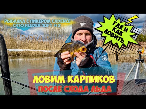 Ловим карпа ранней весной в марте на фидер (пикер) Cadence CR10 Feeder 10ft #2. Где ловить весной?